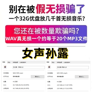 孙露经典黑胶HiFi翻唱汽车载u盘歌曲wav真无损音质车用音乐优盘