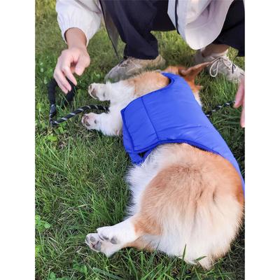 狗狗衣服2023新款冬季带牵引环冬装加厚小型犬中型大型泰迪柯基犬