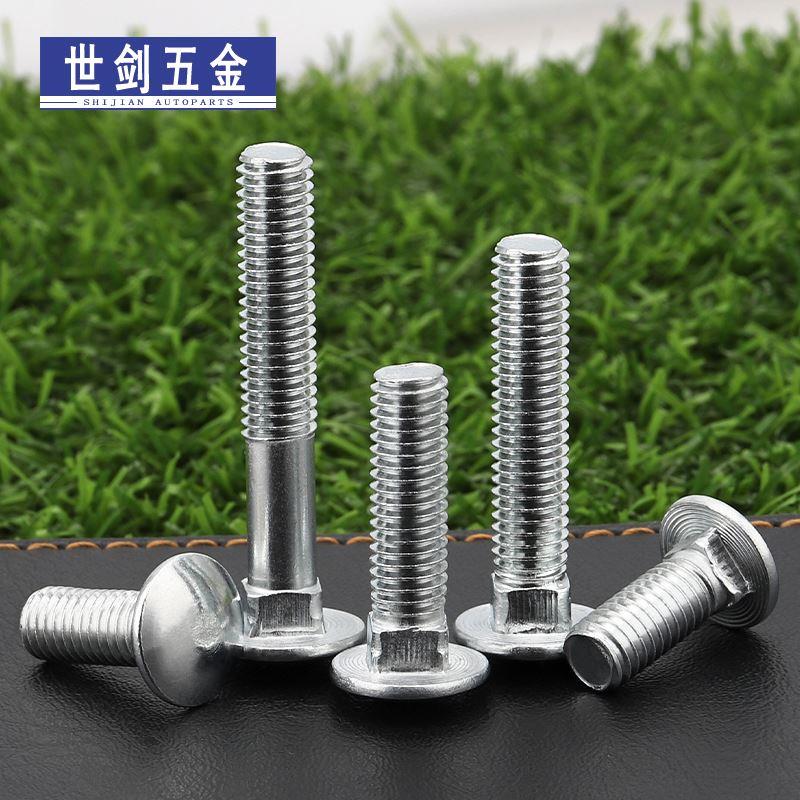 镀锌马车螺丝桥架货架螺栓4C5M6大扁头半圆头四方颈螺钉8M10M12厘