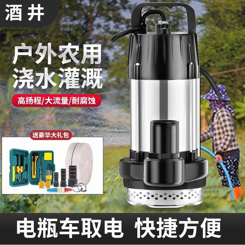 德国进口电瓶车专用直流潜水泵12V48V60V72V农用灌溉浇地大流量抽