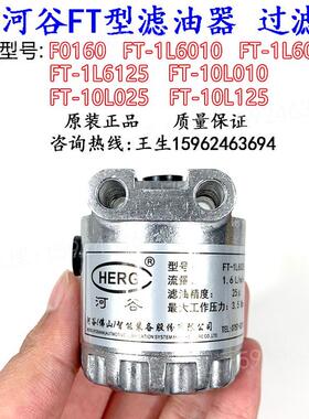 HERG河谷FT型滤油器FT-1L6025油泵稀油过滤器 FT-1L6010/ -1L6125