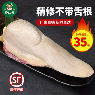 整条带皮牛舌 新鲜牛口条 商用牛舌头火锅烧烤食材切片烤肉黄牛舌