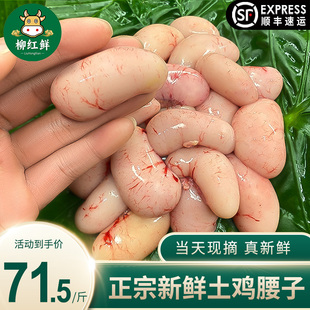 10斤新鲜鸡腰子现摘公鸡蛋散养公鸡卵正宗鸡子火锅烧烤中大鸡睾丸