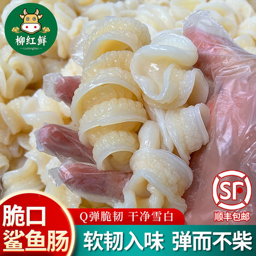 10斤爽口鲨鱼肠脆肠鱼肚