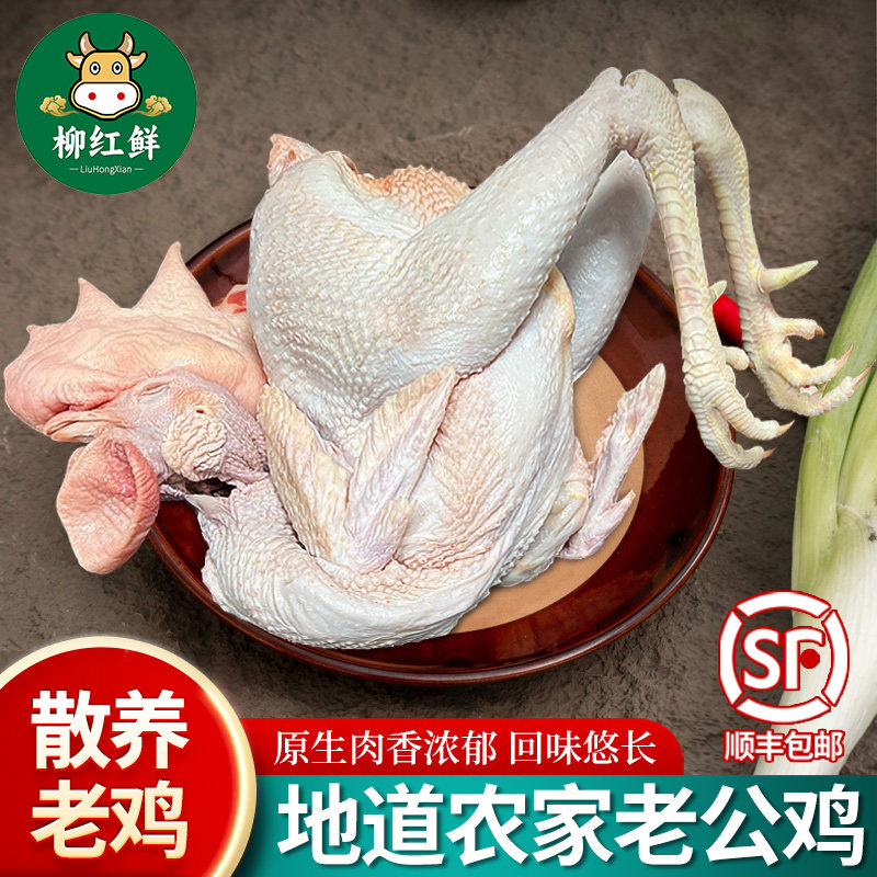 正宗老公鸡带脚蹬农家散养土鸡三年大公鸡广西走地鸡整鸡生鲜鸡肉