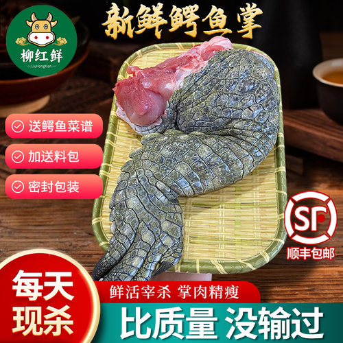 鳄鱼腿肉新鲜现杀整只鳄鱼掌3斤