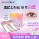 贴单簇眼睫毛 LASH INLOVE太阳花免胶自粘假睫毛女自然仿真分段式