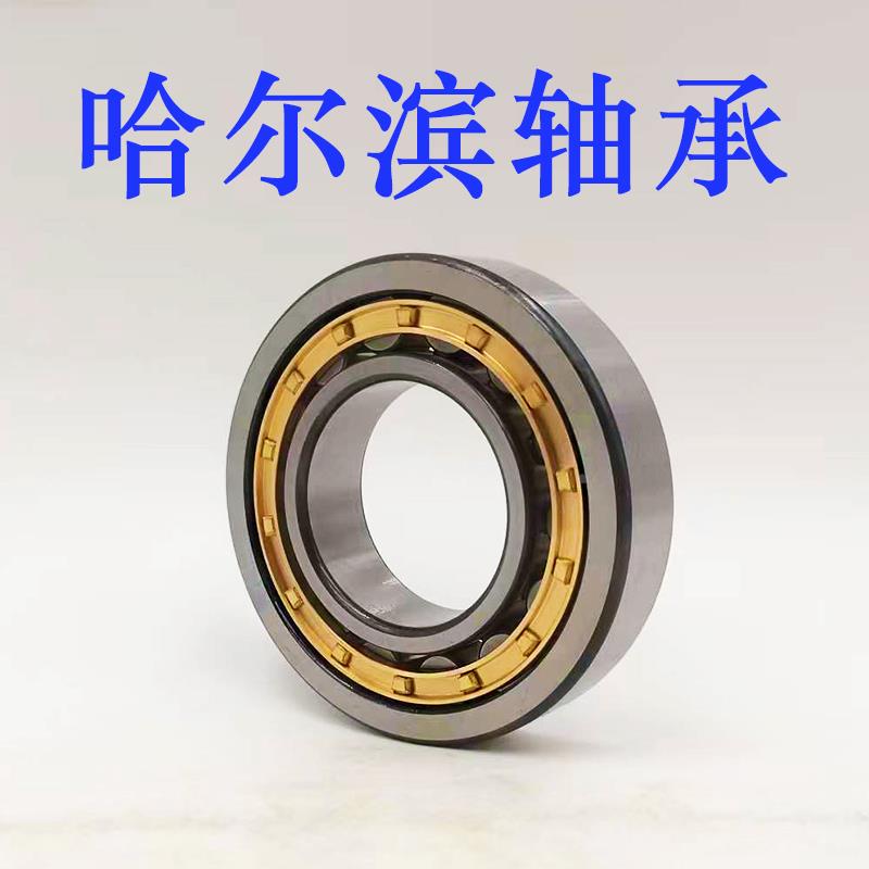 RN309 M摆线针减 502309H哈尔滨轴承偏心套圆柱滚子