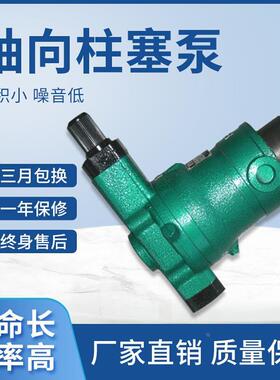 启东高压油泵10 25 40 63 80 160YCY 250YCY14-1B轴向柱塞泵液压