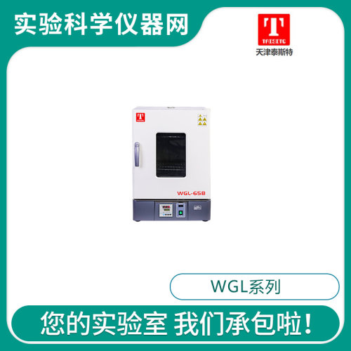 。泰斯特WGL-65B/125B立式鼓风干燥箱WGLL-30BE/45BE液晶屏控制