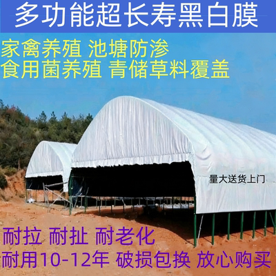 进口加厚黑白膜防渗膜家禽养殖食用菌栽培绿白膜青储防晒隔热降温