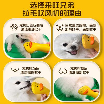 狗狗吹风拉毛Al来旺吹兄弟宠物吹风机mini吹风比熊泰迪神专用洗澡