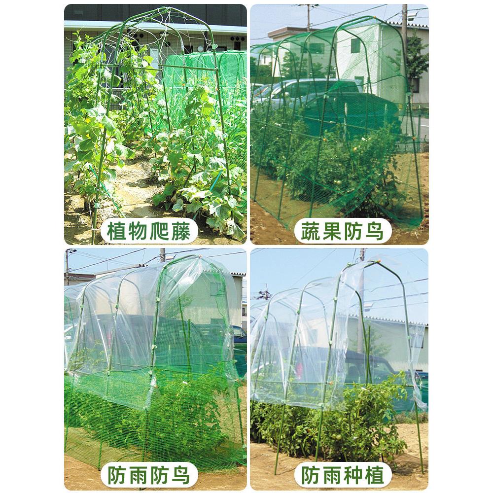 拱形葡萄架拱形爬升藤架户外百香果黄瓜物丝瓜架棚植爬升藤瓜AAM