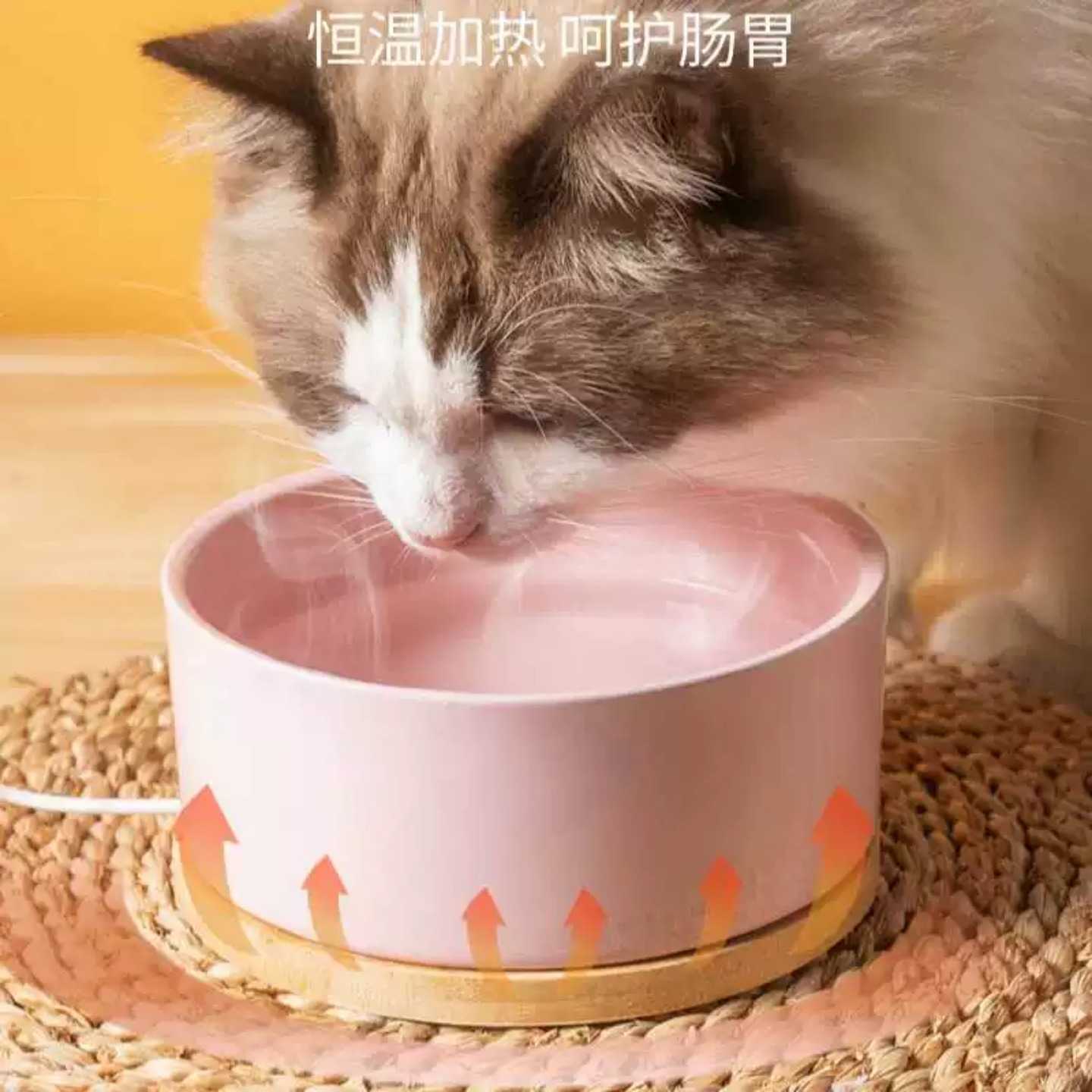 恒温猫碗猫咪恒温饮水机陶瓷水碗狗狗温水器宠物水碗冬天加热猫碗