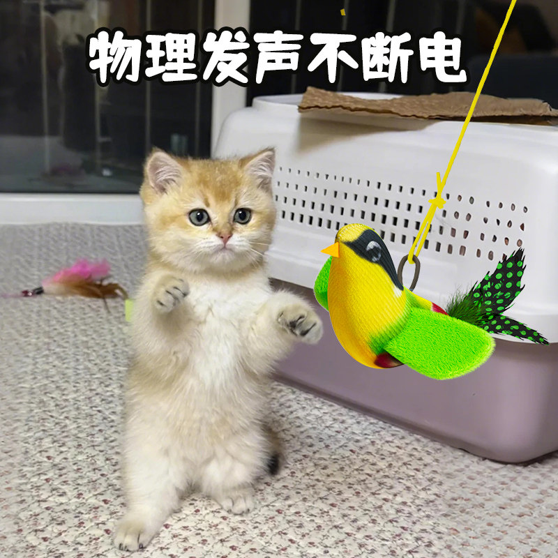 猫咪玩具仿真叫叫鸟小鸟荡秋千逗猫棒宠物自嗨解闷消耗体力挂门鸟