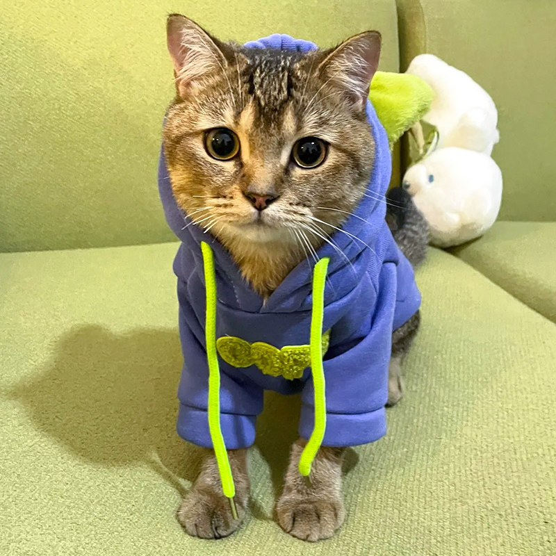 猫咪衣服潮牌宠物卫衣加厚保暖布偶银渐层英短幼猫小狗狗秋冬服饰
