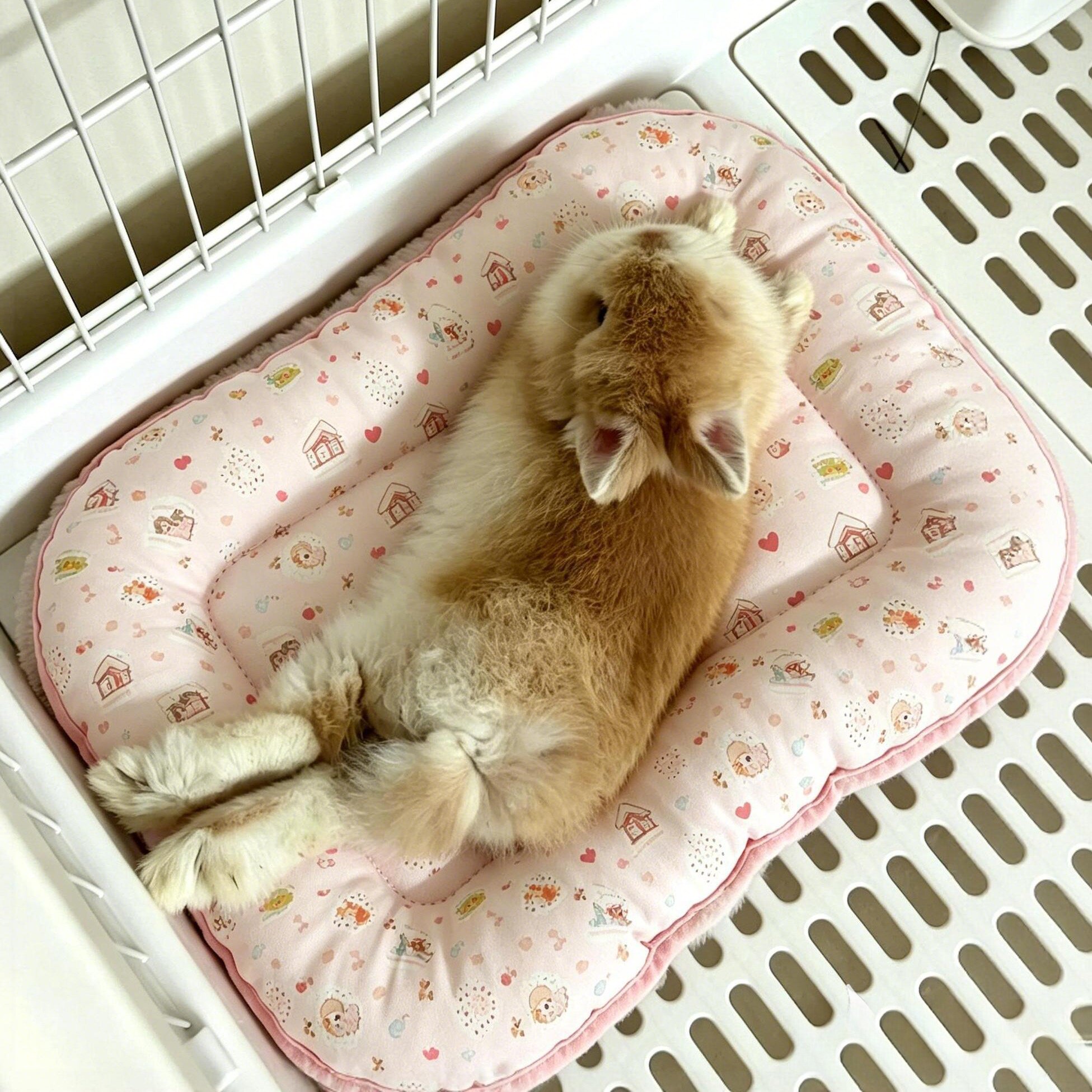 兔子宠物专用兔窝夏季款四季通用兔兔趴趴窝防水猫窝狗窝宠物睡垫图片