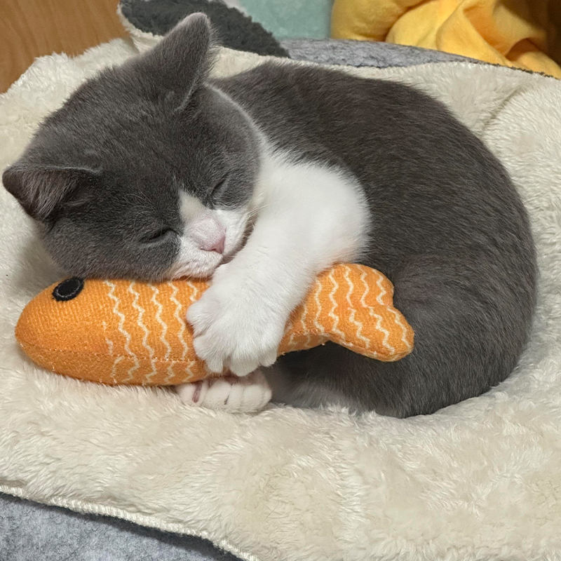 猫玩具耐咬磨牙猫薄荷洁齿波浪鱼逗猫棒自嗨解闷消耗体力互动拔河