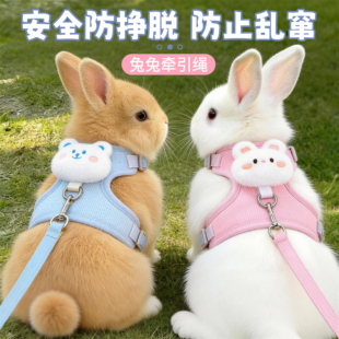 兔子牵引绳胸背带防挣脱侏儒兔垂耳兔安全防乱窜遛兔绳子宠物用品