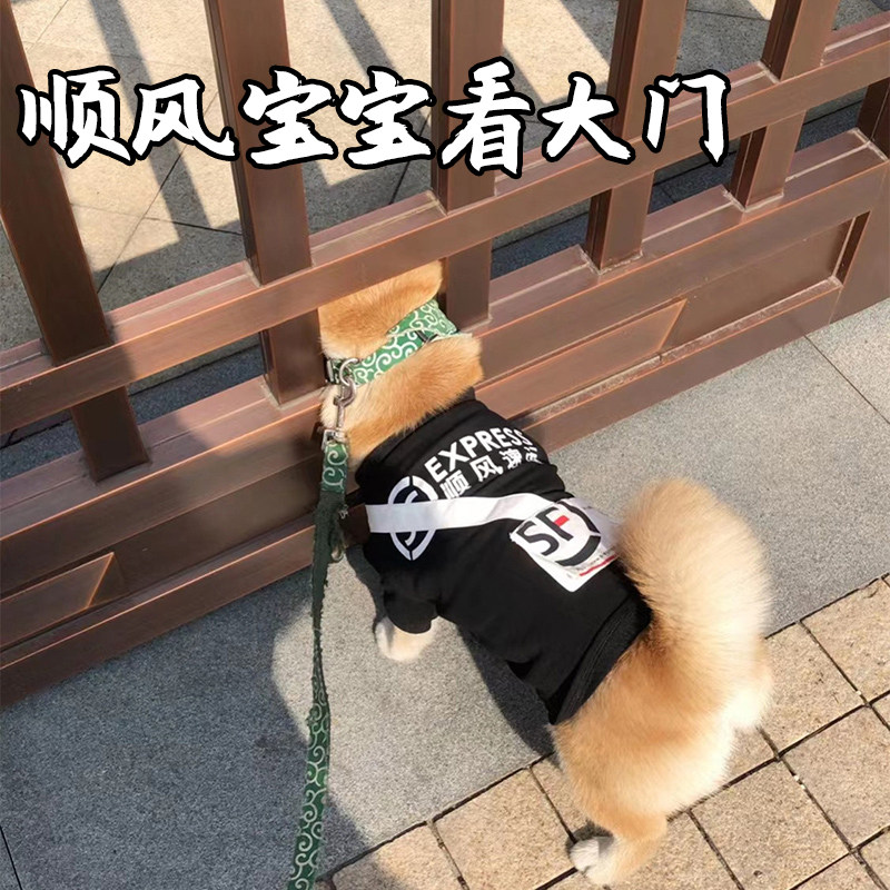 狗狗衣服快递外卖背包薄款柴犬柯基比熊约克夏幼犬宠物猫咪搞笑装图片