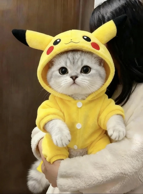 猫咪衣服秋冬款可爱皮卡丘变身装银渐布偶英短宠物狗狗四脚衣保暖