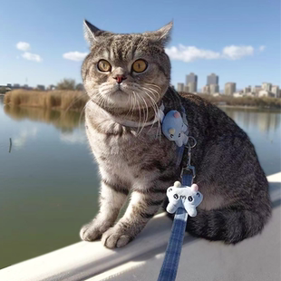 猫咪牵引绳可爱兔子工字型胸背布偶德文小狗外出遛弯防挣脱遛猫绳