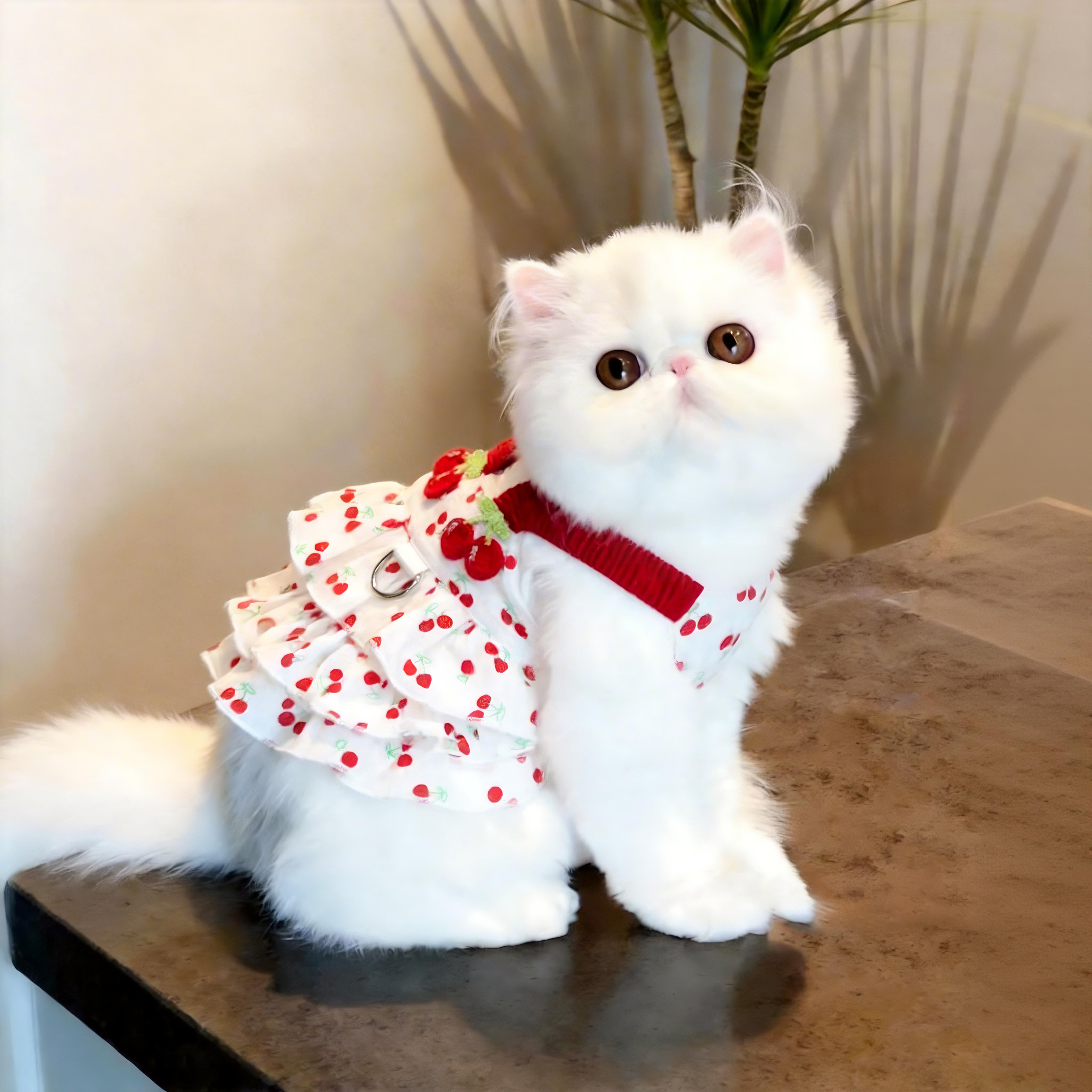猫咪衣服夏季可爱樱桃吊带连衣裙透气布偶德文猫宠物狗狗蛋糕裙子