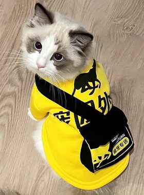 猫咪布偶蓝猫搞怪送货及时外卖衣