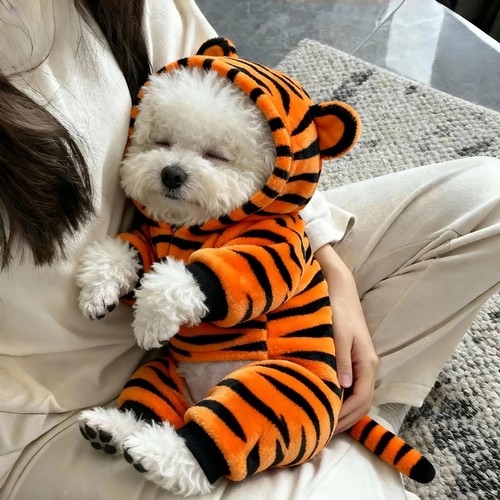 宠物衣服可爱老虎变身装