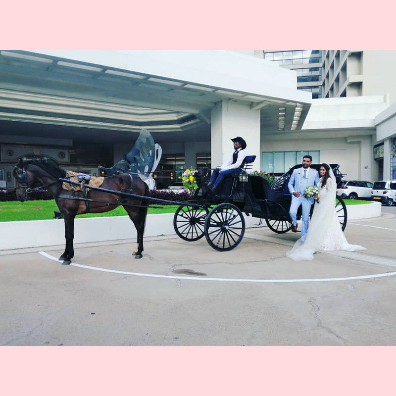 婚礼马车婚庆马拉车西式