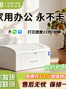 【不卡纸】政府补贴20%奔图P2506W正品黑白激光无线WiF打印机学习试卷手机直连家用办公A4打印高速耐用包邮
