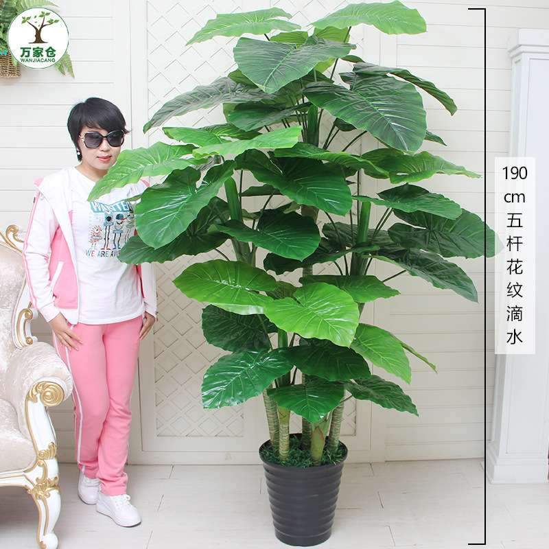 假植物盆栽招财发财树客厅装饰落地花卉假花大室内摆件塑料仿真花