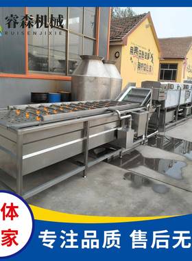 果蔬气泡清洗机杨梅蓝莓气泡清洗机蔬菜喷淋式清洗流水线