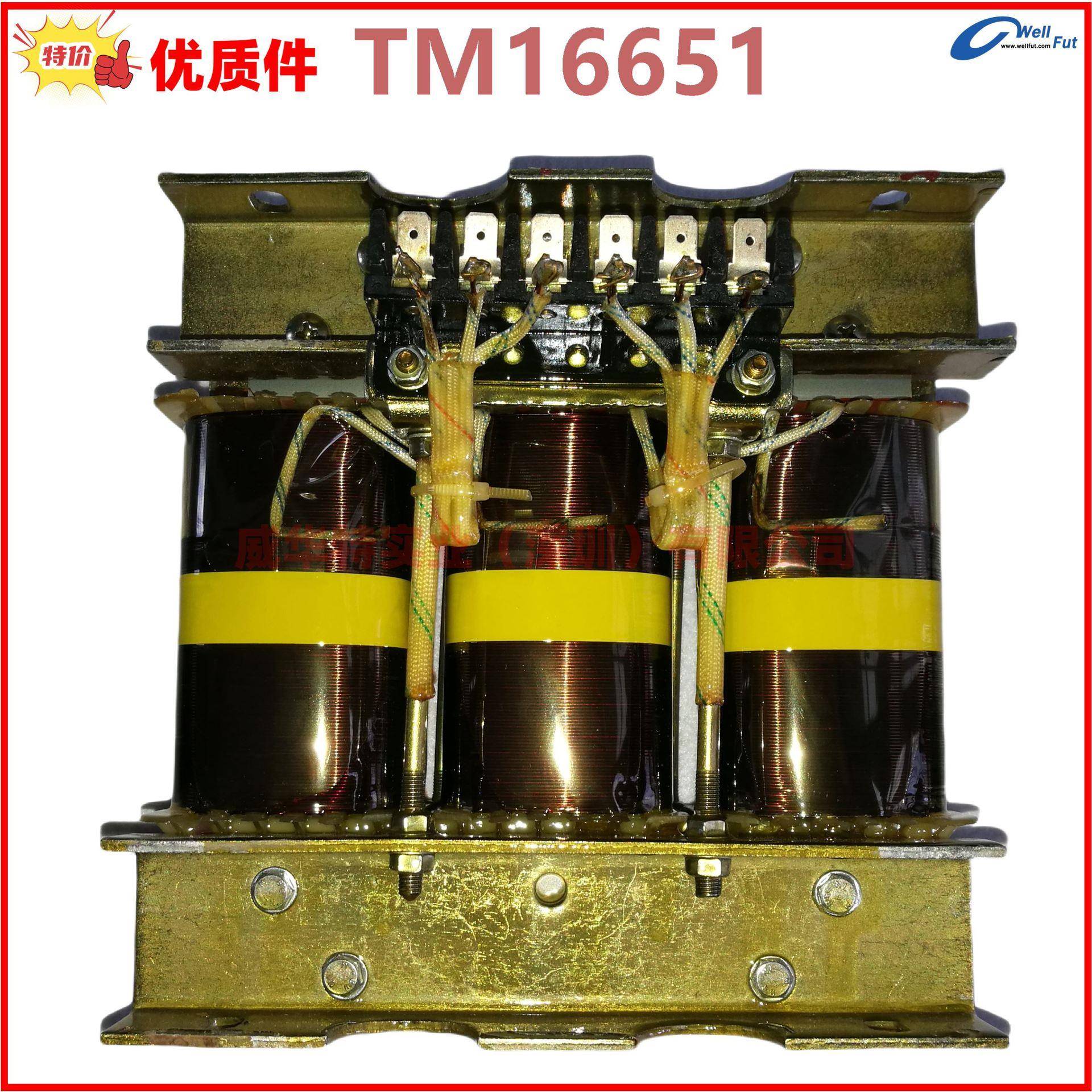 1FC6,IFC6发电机单相电流互感器4AN40,TH16933TM16651