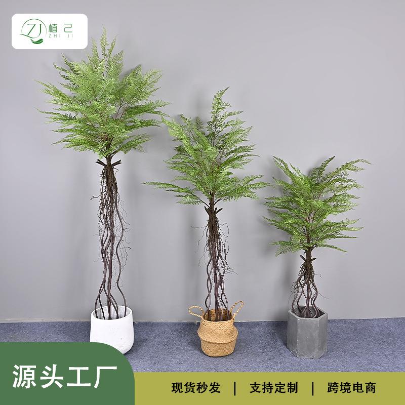 仿真黑骨芒蕨树家居软装造景商场橱窗工程一件黑骨芒