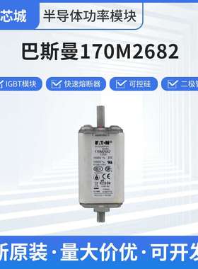 巴斯曼170M2682真空熔断器