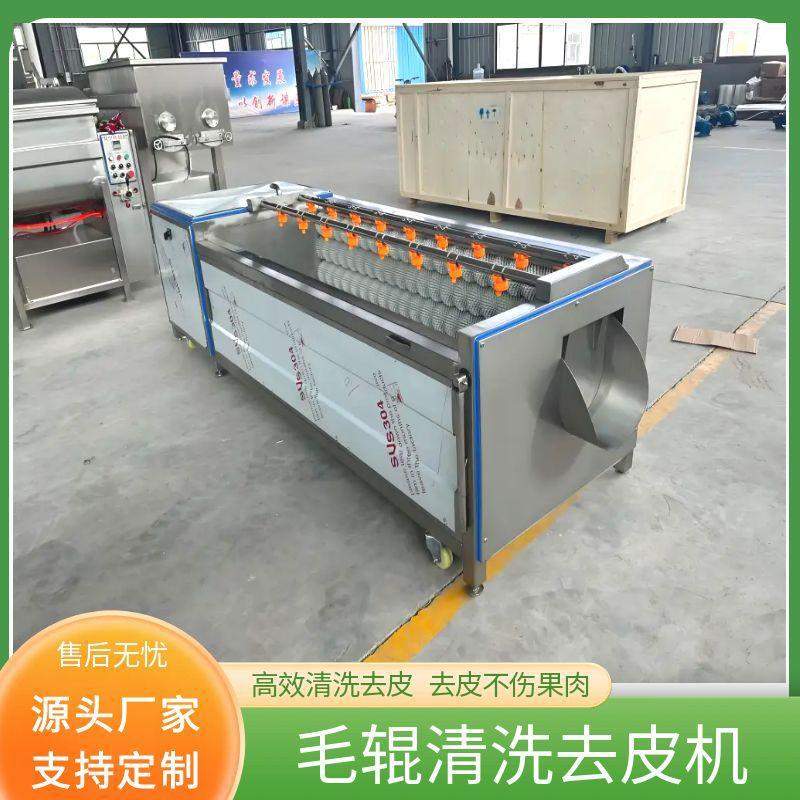 红薯清洗机全自动毛辊地瓜清洗机生姜板栗花生毛刷清洗去皮一体机