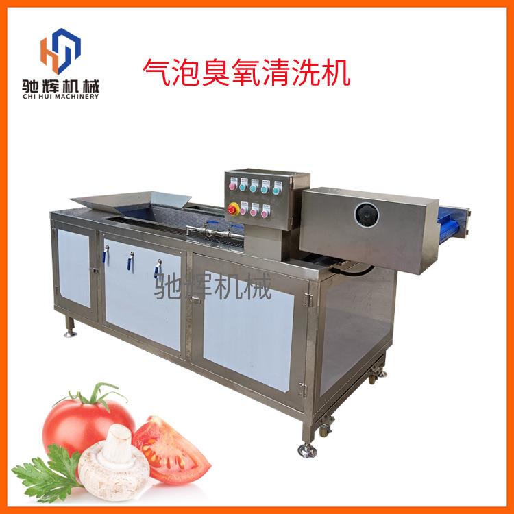 中型无损果蔬清洗机长形豆角清洗机芹菜蒜苗清洗机接流水线