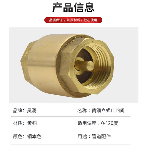 。黄铜内外丝止回阀卧立式逆止20/25PPR热熔双活接自来水管表单向