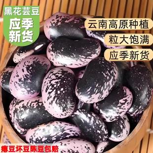 大黑花芸豆新货5斤云南农家大肾豆新鲜牛眼豆特大花腰豆紫黑云豆