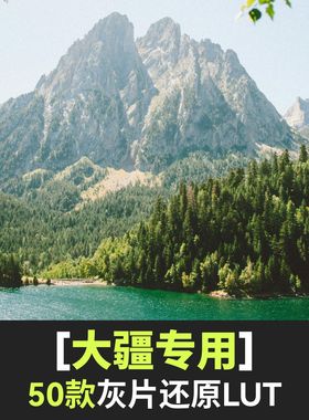 DJI大疆LUT灰片还原预设插件DCinelike Dlog M无人机航拍滤镜调色