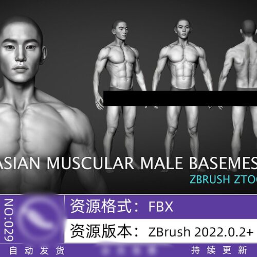 Zbrush亚洲肌肉男性基础人物角色3d模型CG高模低模带细分ztl素材