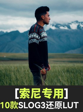 索尼lut灰片Slog3还原电影感旅拍a7m4/a7c/a7s3/a6700/zve1/fx30