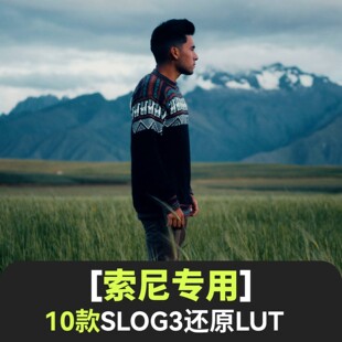zve1 索尼lut灰片Slog3还原电影感旅拍a7m4 a6700 a7s3 fx30 a7c