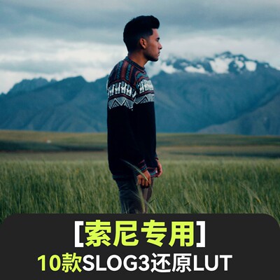 索尼lut灰片Slog3还原电影感旅拍a7m4/a7c/a7s3/a6700/zve1/fx30