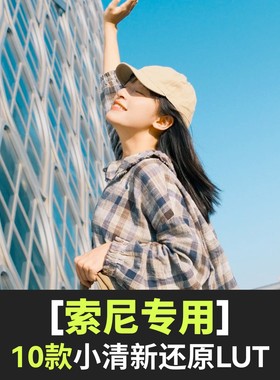 sony索尼lut小清新电影感slog3灰片还原a6700/a7c/a7m4/fx30