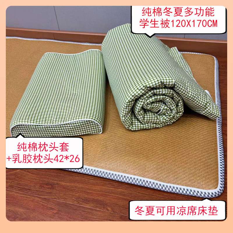 ?学生双面凉席床垫加厚冬夏两用午睡席幼儿园儿童打地铺睡垫可