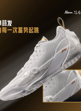 李宁韦德全城13男子轻量高回弹篮球专业比赛鞋ABAV017