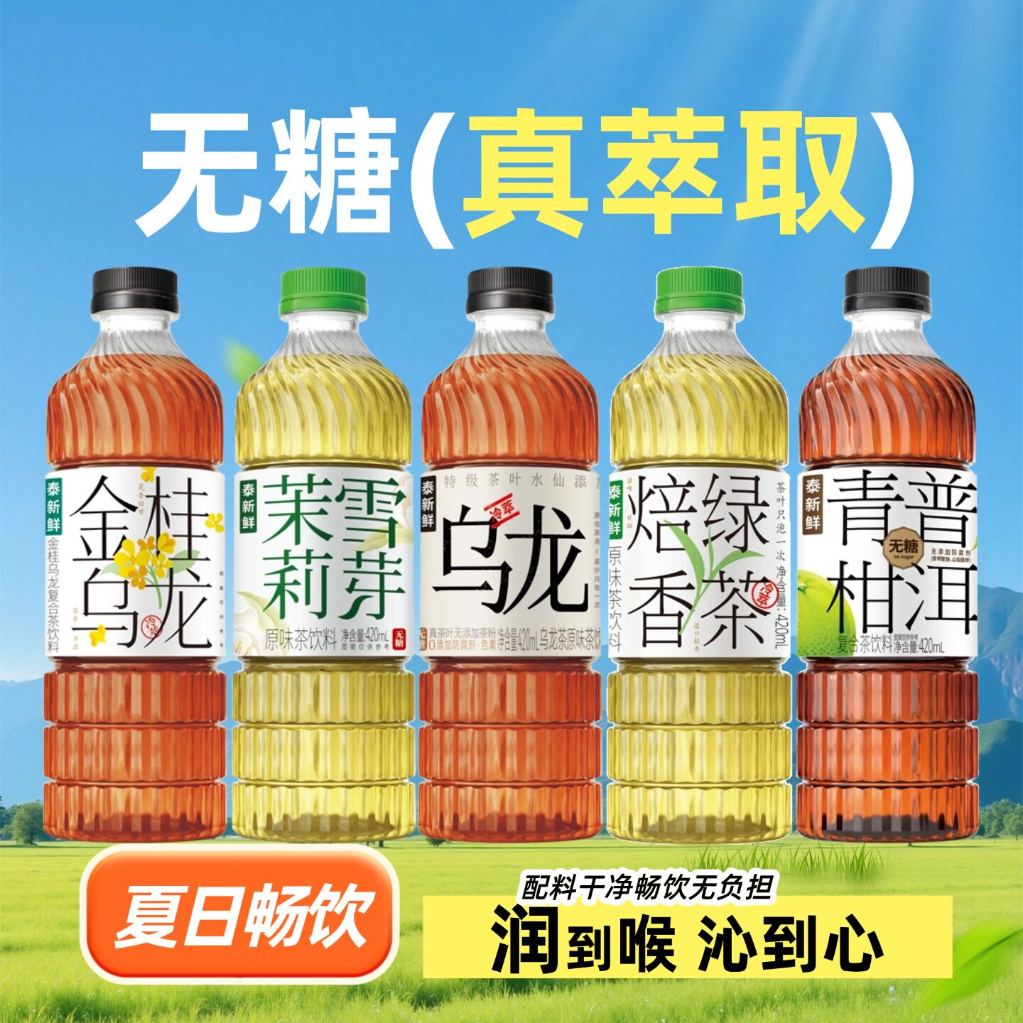 泰新鲜多口味茶饮料茉莉雪芽乌龙茶青柑普洱茶金桂乌龙焙香绿茶图片