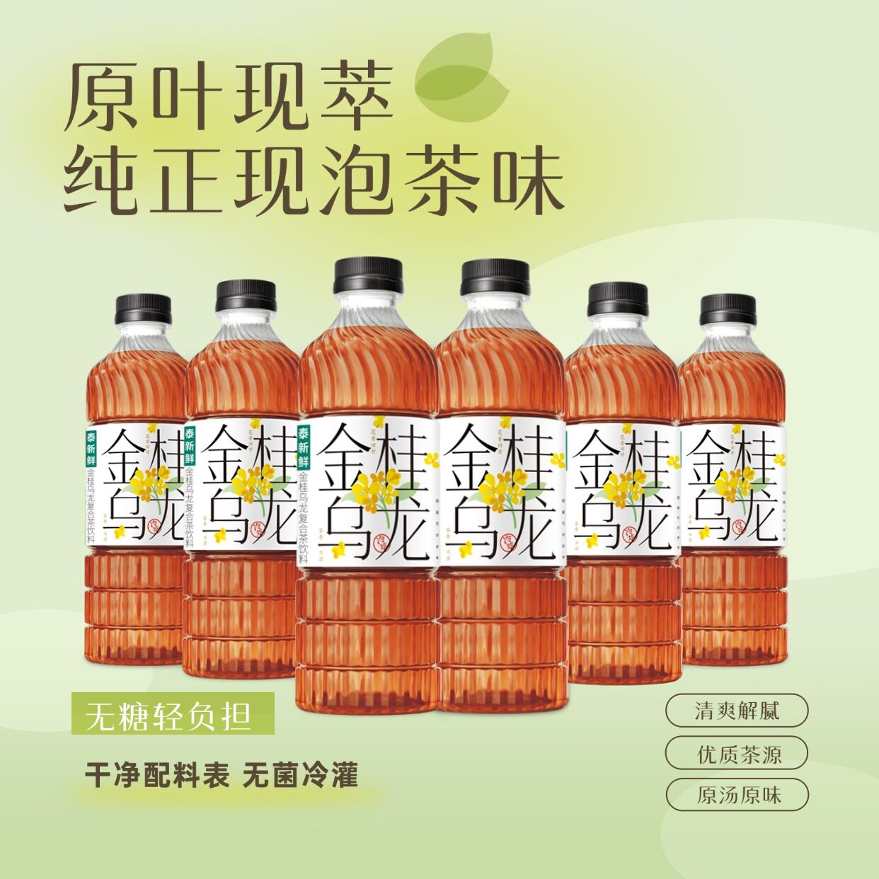 泰新鲜无糖乌龙茶茶味饮料甘甜原茶冷泡萃取无菌罐装420ml*6瓶图片